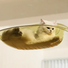 Cat Window Perch